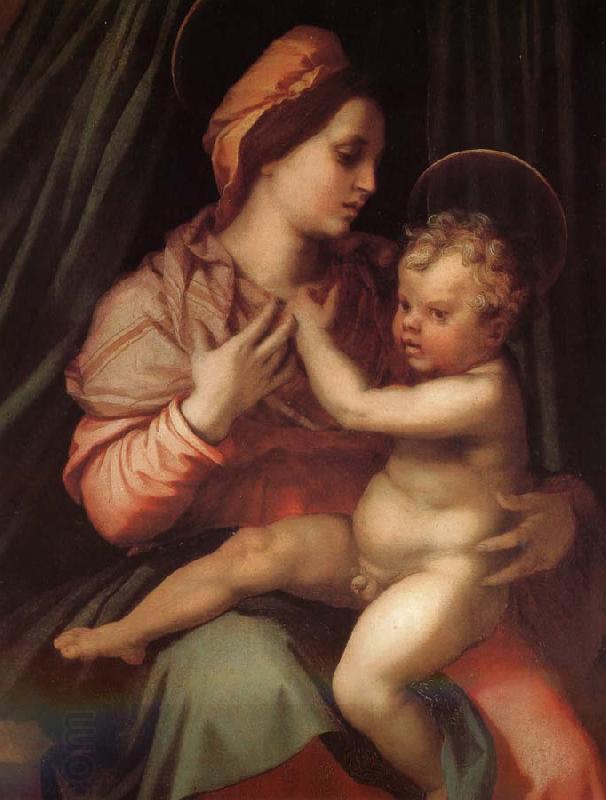 Andrea del Sarto The Virgin and Child